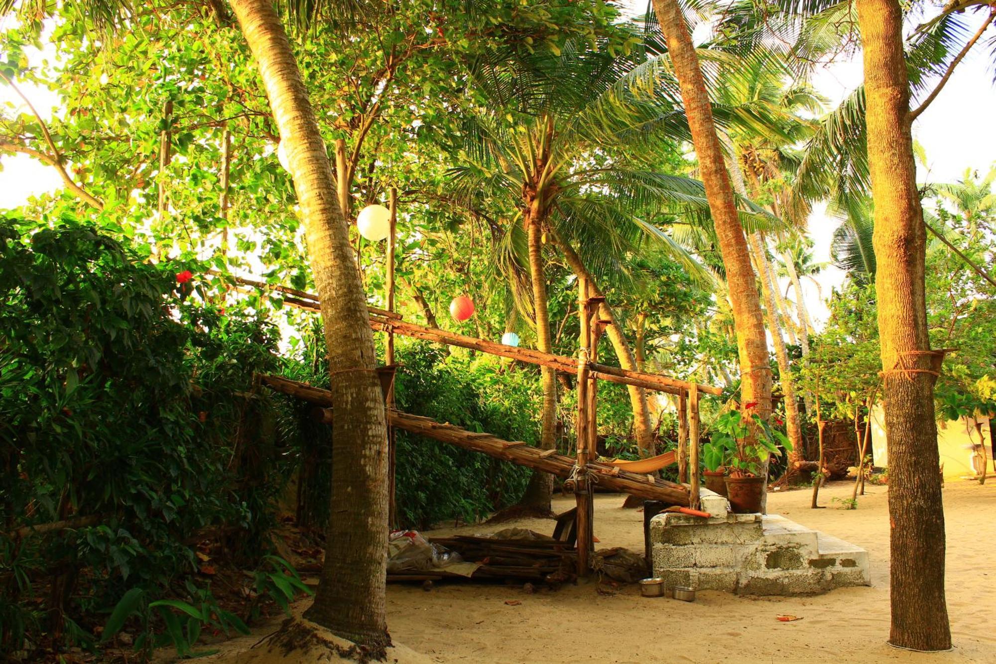 Kochi Sea Hut Homestay מראה חיצוני תמונה
