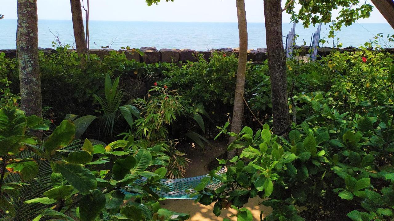 Kochi Sea Hut Homestay מראה חיצוני תמונה
